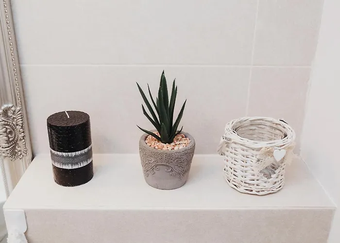 N&b * Клуж-Напока